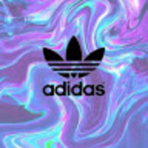 Meet your Posher, Devestated